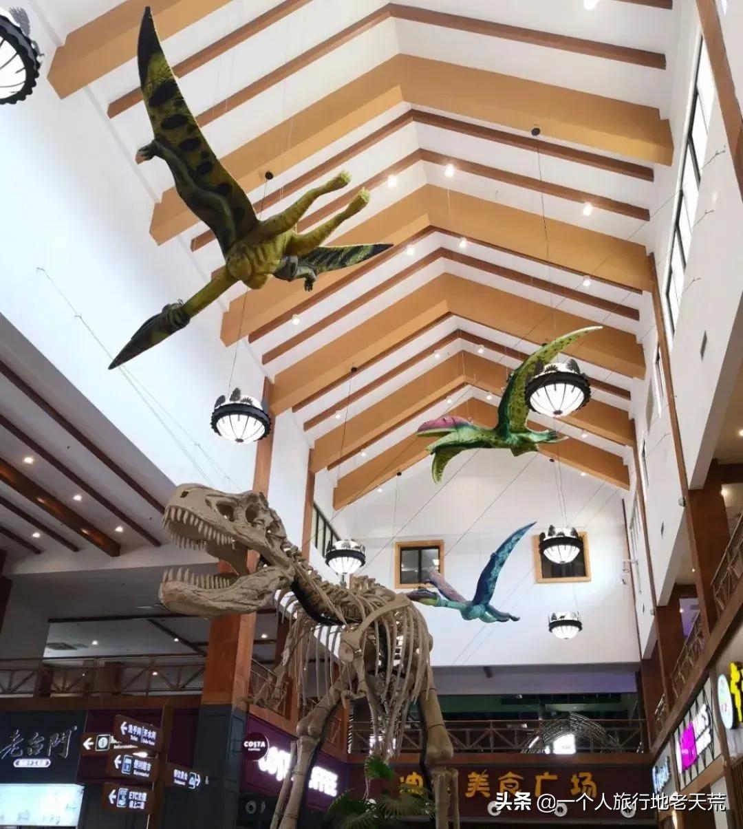 高速公路上最美的服务区在哪,中国十大高速公路服务区景区