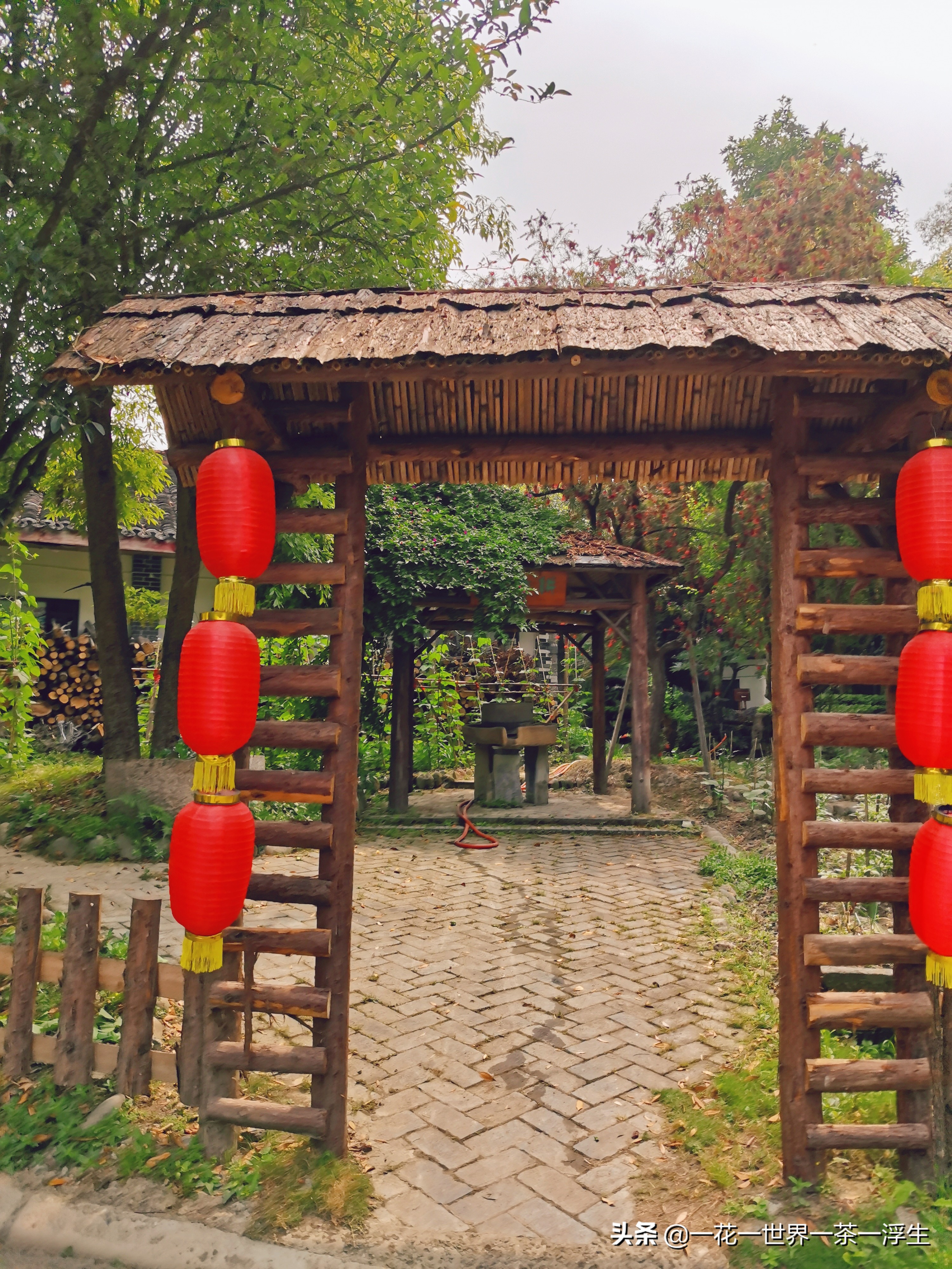 寻找巴适的成都小院（2）