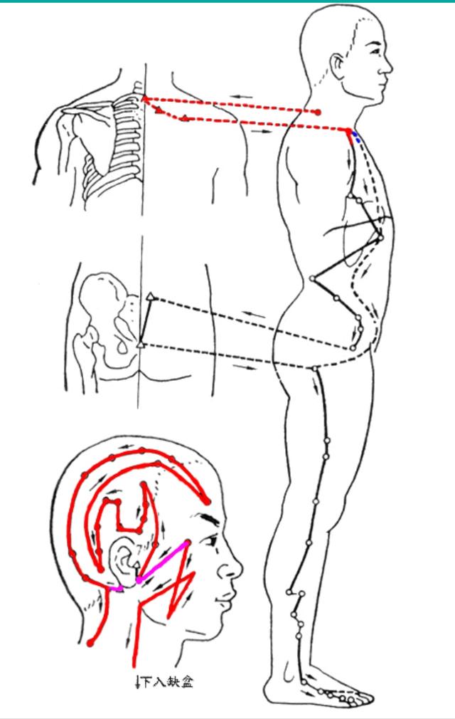 针灸临床选穴方法探讨,针灸治疗崩漏实证选穴