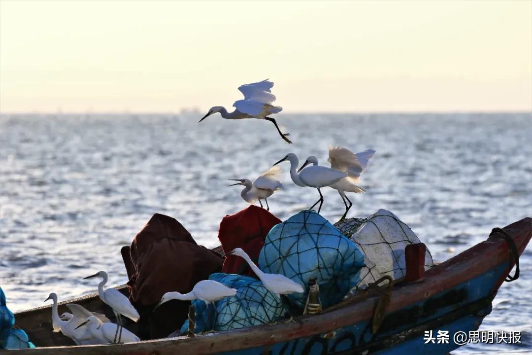 每一张照片都值得珍藏与回忆,每一张都值得纪念和珍藏