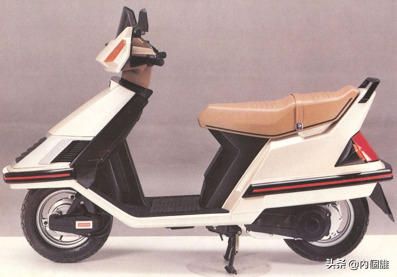 鑴遍鑰屽嚭鐨勪汉,鑴卞奖鑰屽嚭