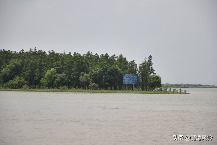 珠海竹洲水松林,意外发现的珠中江“SB”界碑,究竟作何解释?
