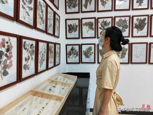 南昌植物博物馆,景区植物科普馆