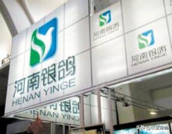 中国融资骗局第一案,中国草浆第一龙头股