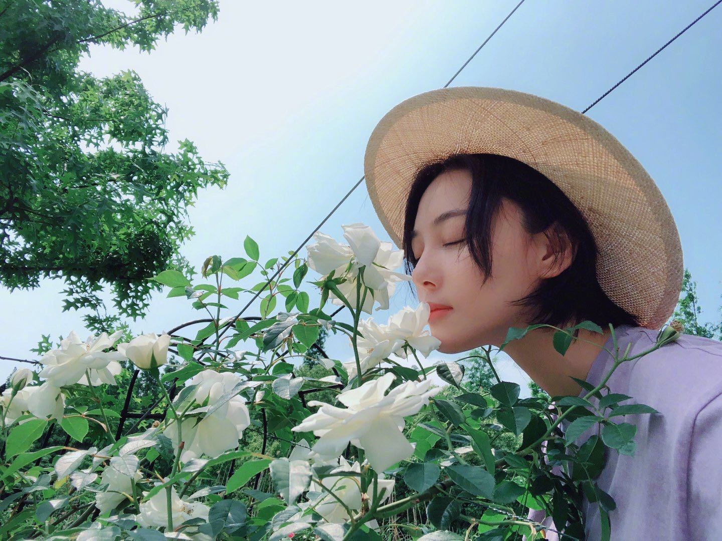 张馨予吴卓羲在一起多久,张馨予吴卓羲谈了几年