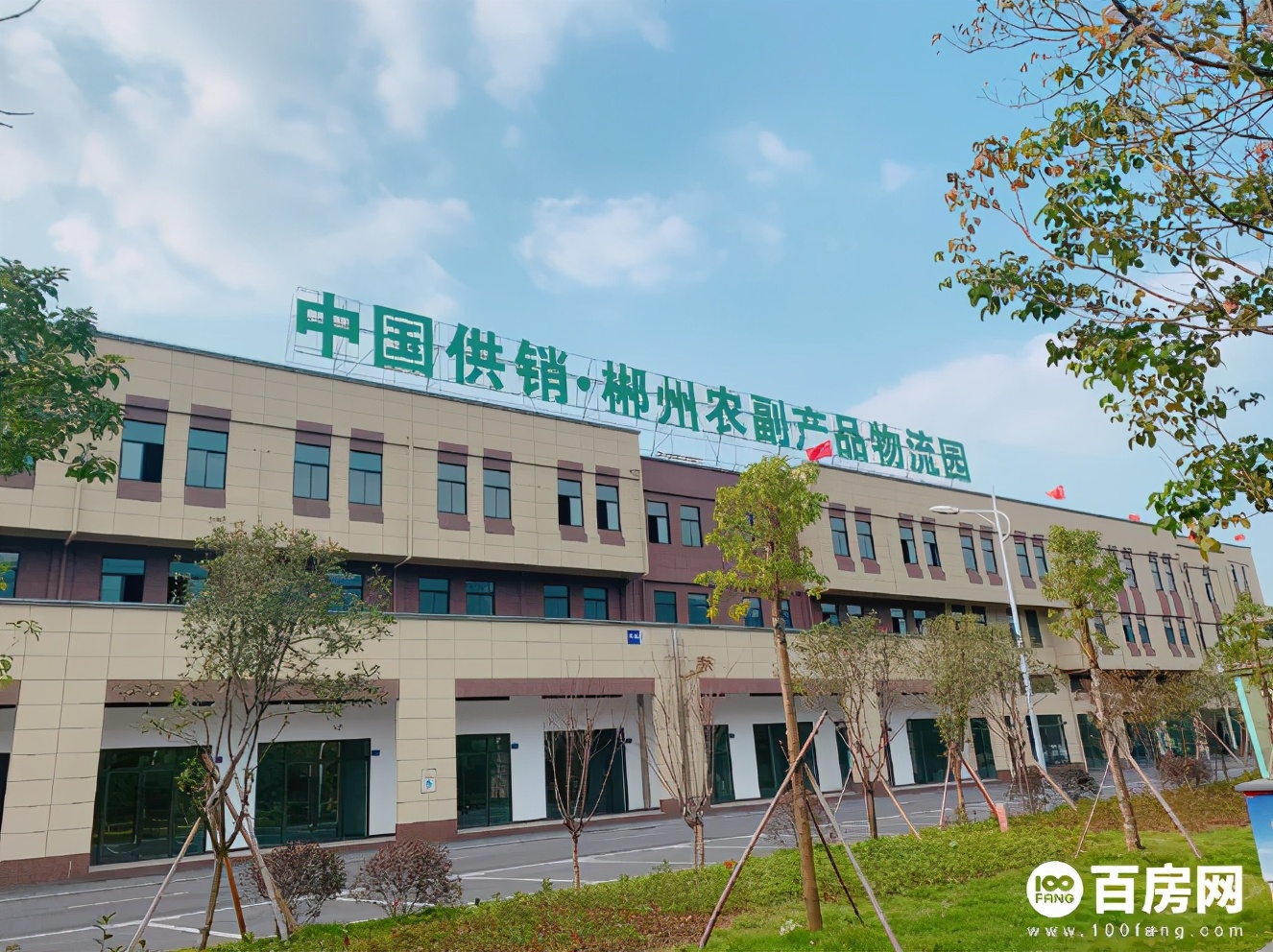 郴州的哪个老市场正在拆除,郴州老市场今年都会搬迁吗