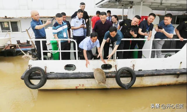 野外捡到一只野生龟,市民捡到一只野生龟
