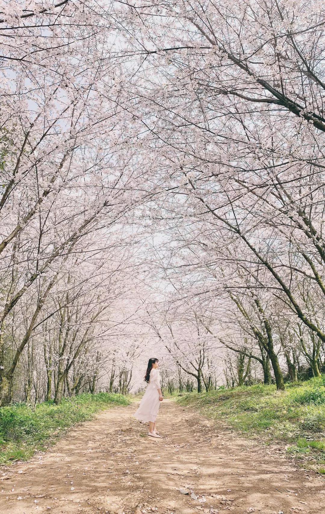 iphone相机人像拍摄技巧,新手必看最新iphone相机教学