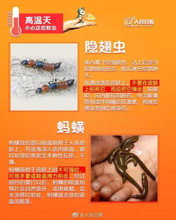 厦门高温会持续多久,厦门24小时桑拿