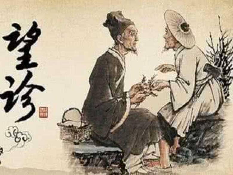 老梁讲述中医中药,老梁说中药材