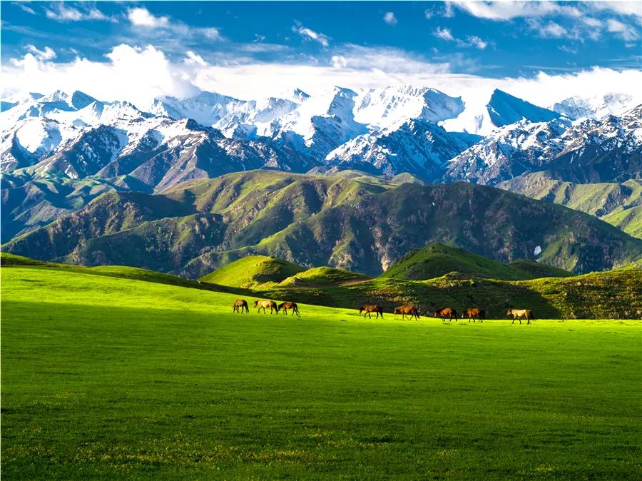 塔城最好旅游季节,塔城好去处