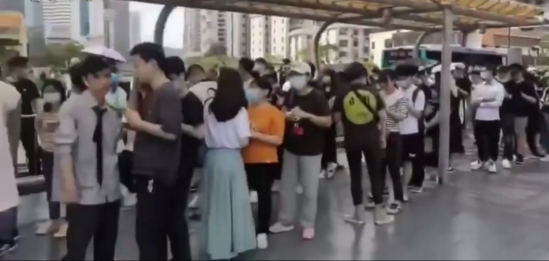 网红奶茶茶颜悦色 (网红奶茶为什么能卖到200块钱一杯)