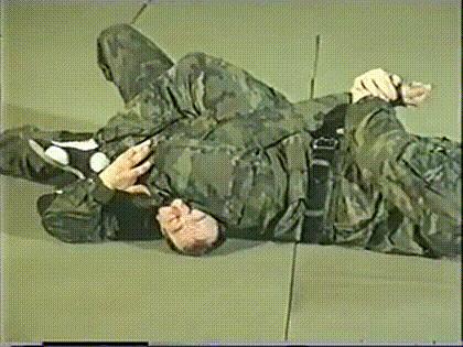 格斗式桑搏的标准动作,桑搏格斗术实战