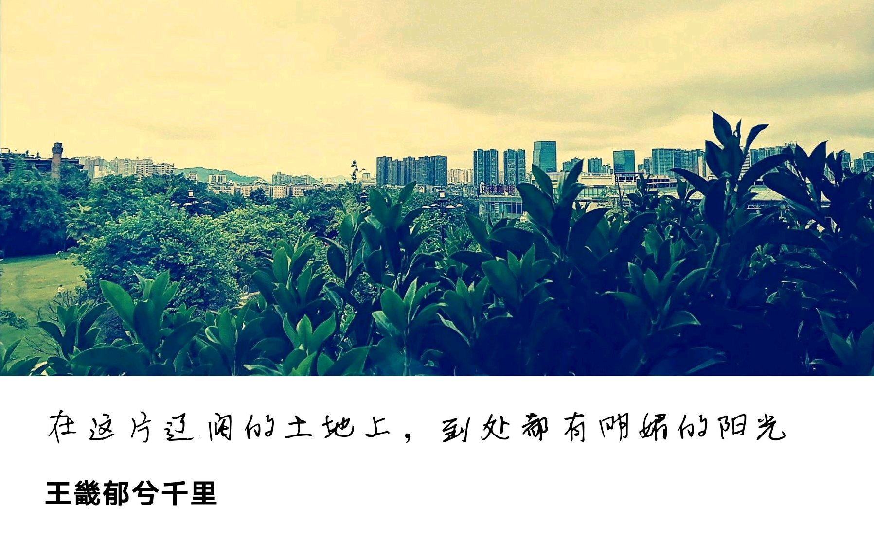 教育部发布高校命名最新规范,最新高校更名消息