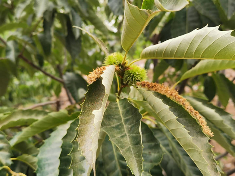 隐藏在大山的民宿酒店,最便宜的民宿客栈价格