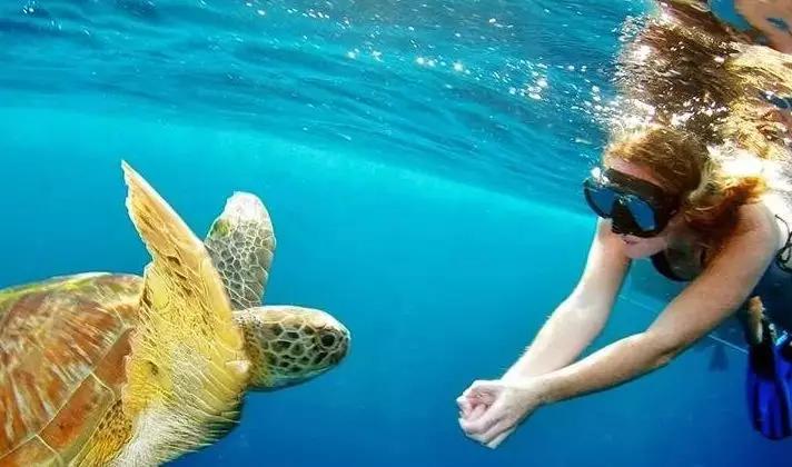 泰国太鲁阁国家公园视频,泰国十大最美国家公园