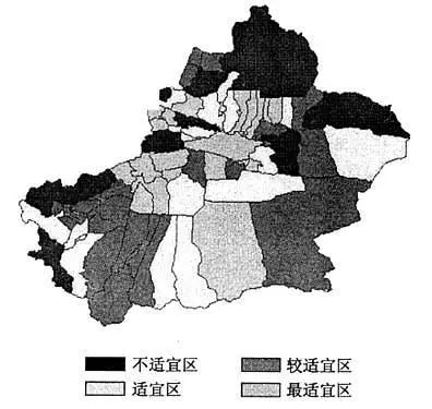 在*疆新**,谁才是“果界一哥”?