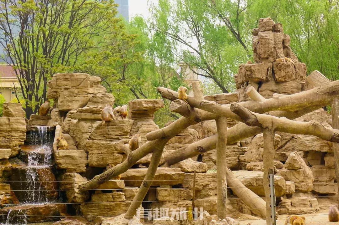 郑州市动物园开放,郑州市动物园什么时候去合适