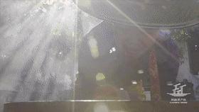 云南苦菜萝卜,苦菜和萝卜缨