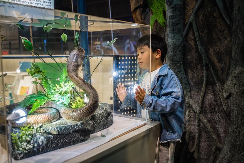 厦门冬春攻略,夏天厦门旅游攻略美食篇