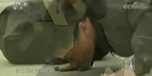 为国而歌！这是14亿人都熟悉的46秒旋律