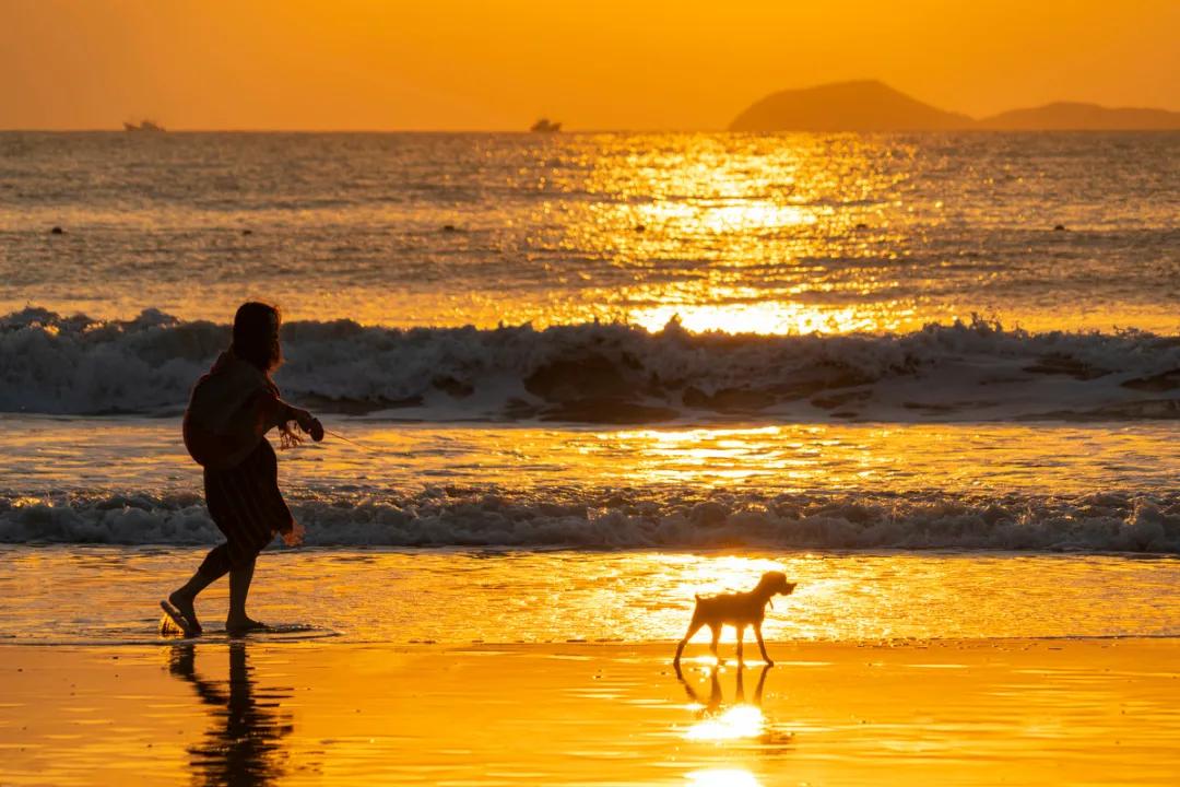 有了这座小县城,封海也封不住浙江人吃海鲜的嘴