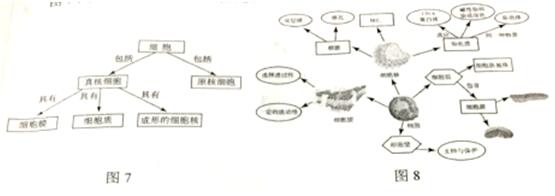 2023教师资格证生物学科知识答案,高级中学教师资格证生物备考资料
