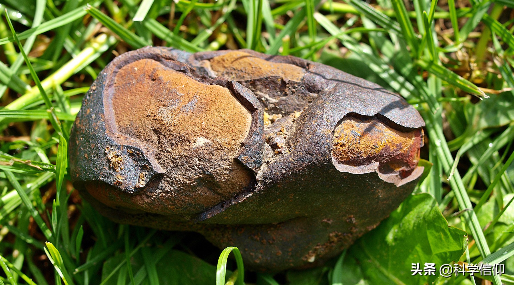 玻璃陨石每克50000元是真的吗,天上掉下的陨石一斤值多少钱