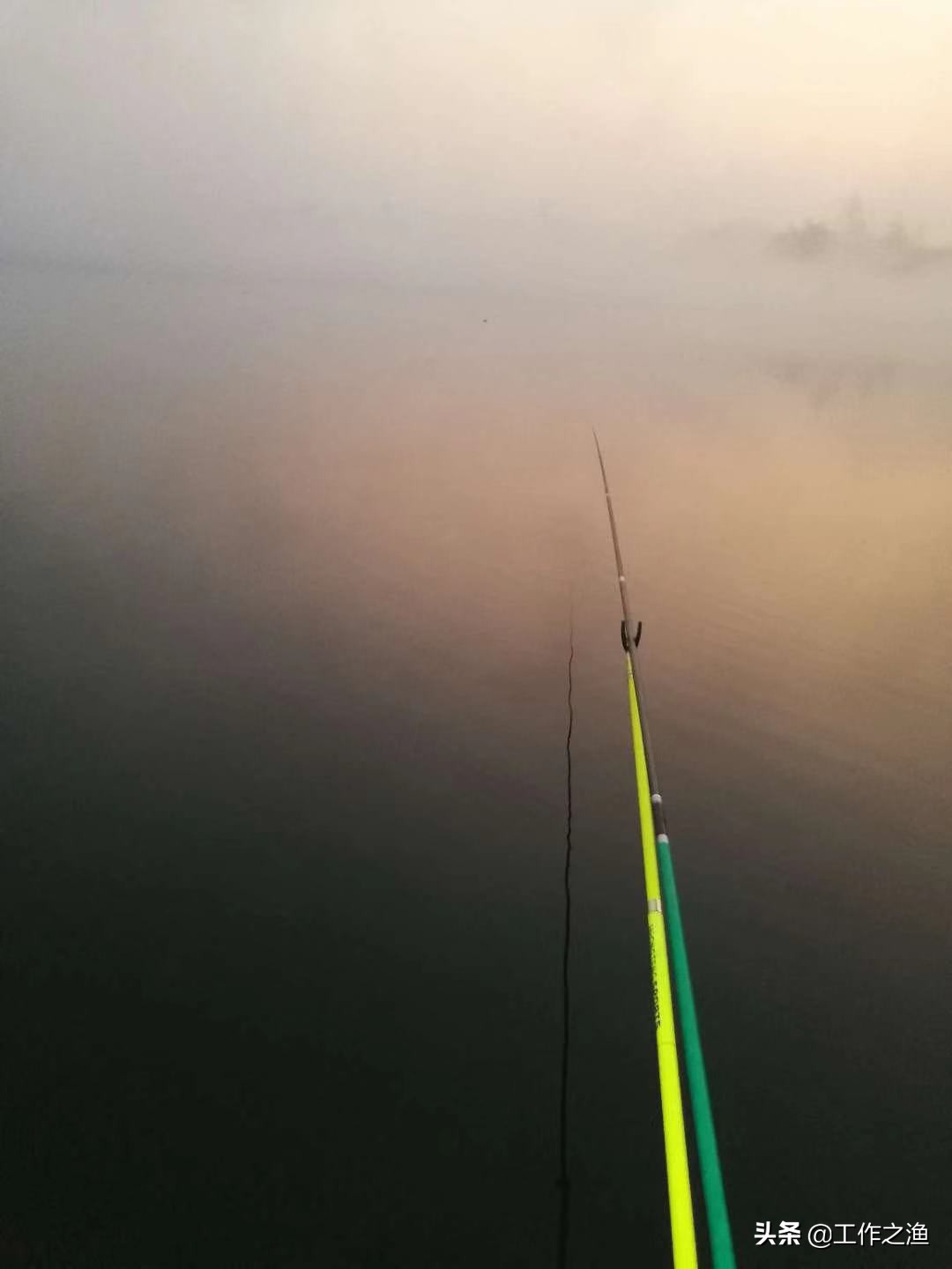 夏季鱼上浮水面该怎么钓,初冬温度升高鱼上浮