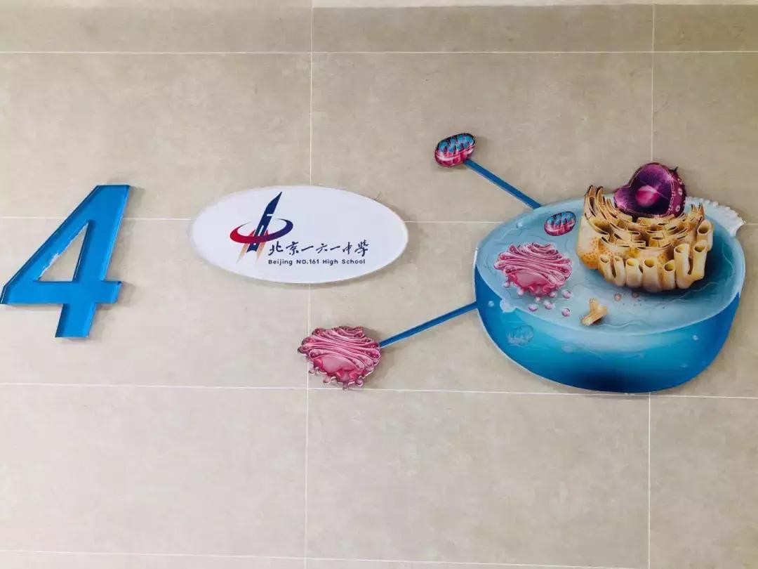 西城教育格局,西城区161中学分校如何