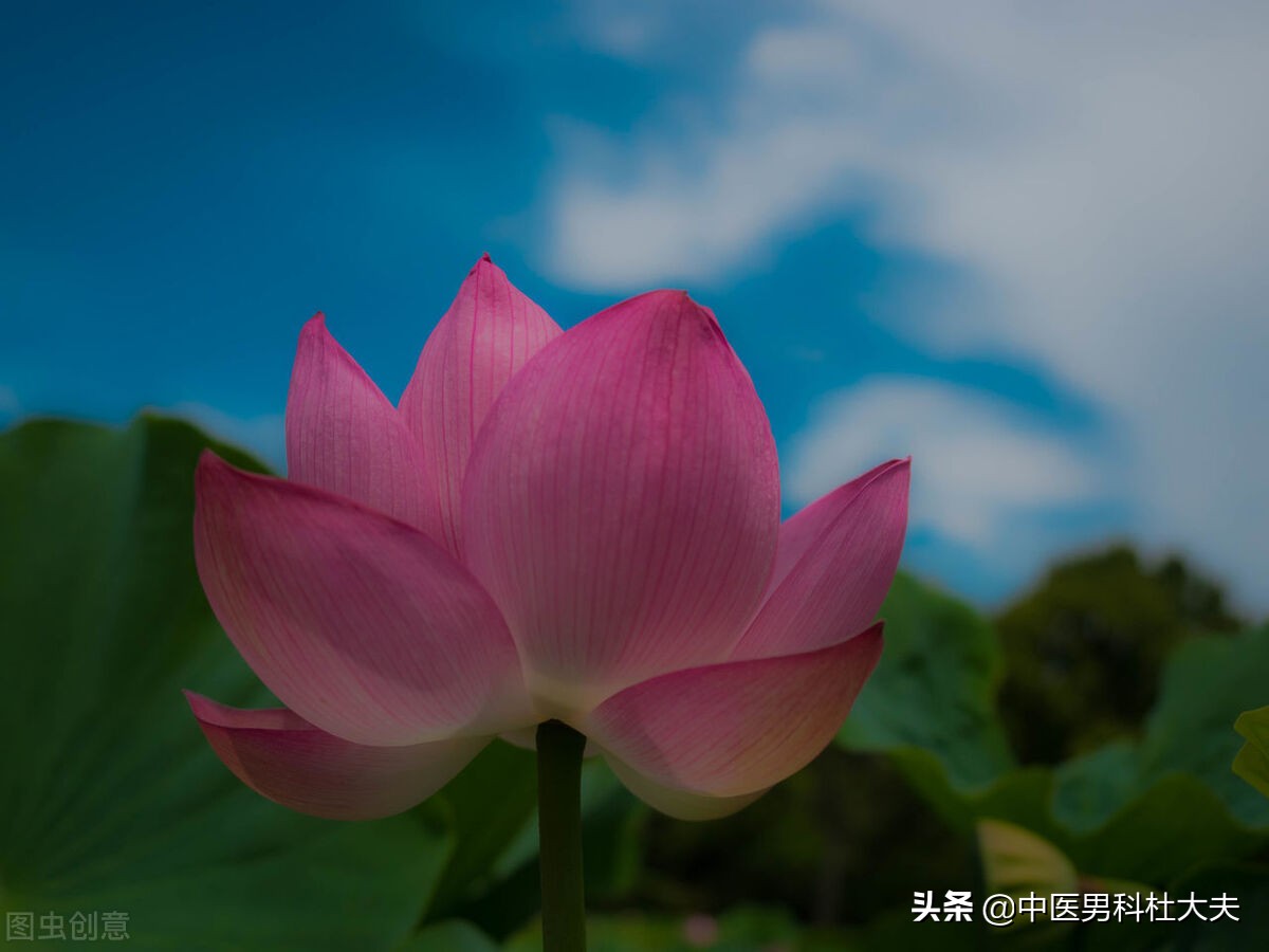 下焦虚弱型肾虚，前列腺炎，中医该如何恢复？