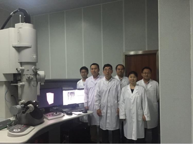 纳米材料研究成果,纳米材料的研究成果