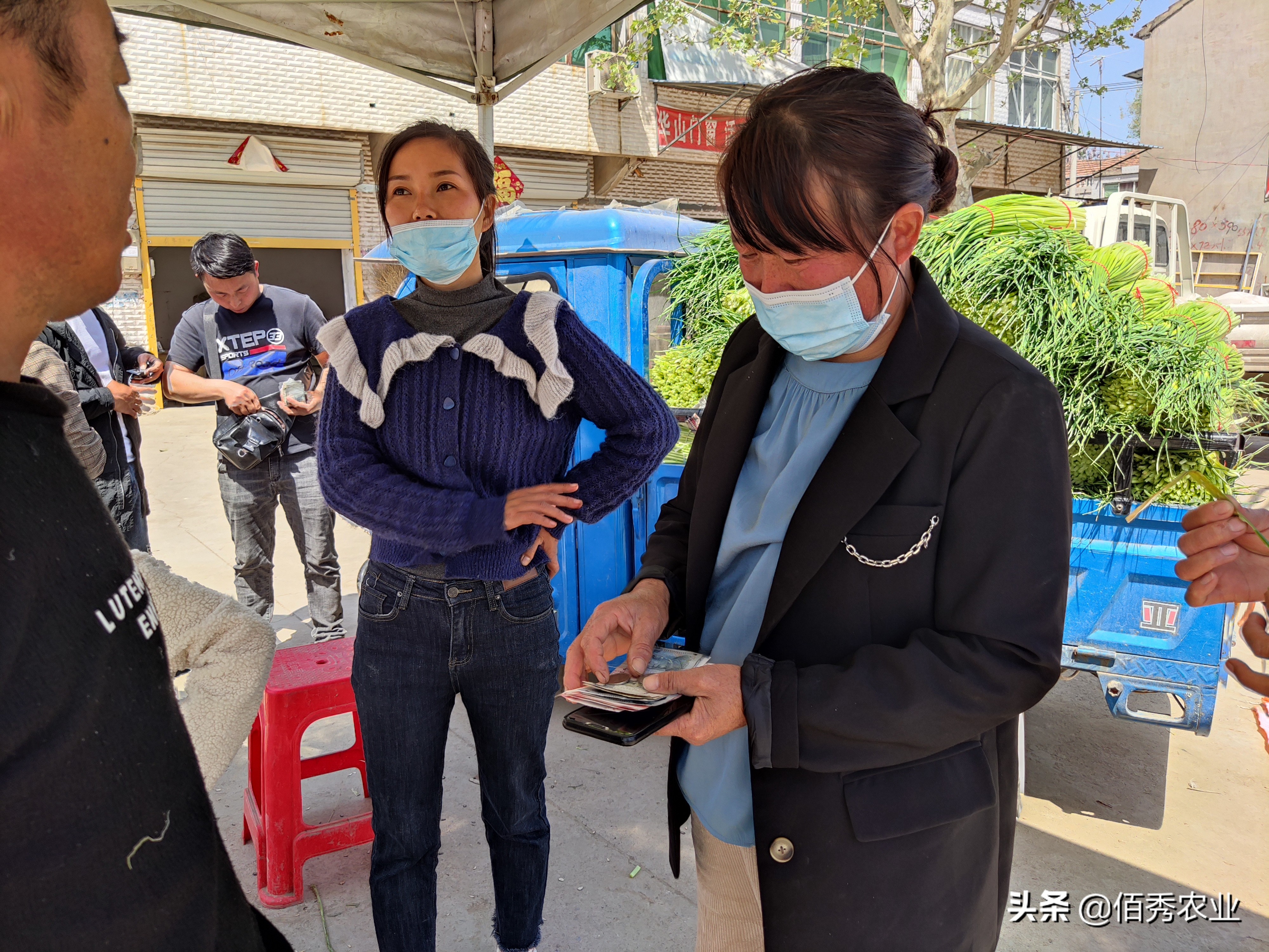 种植大蒜亩收益,农业一举三得