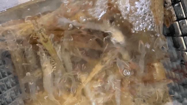 带海鲜池的餐厅,海鲜汤粉北海