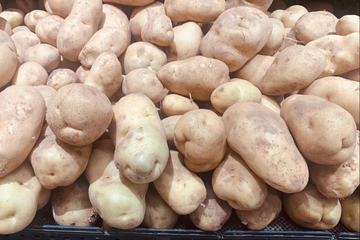 夏天土豆怎么保存不发芽不变绿,土豆削皮后真空包装可以保存多久