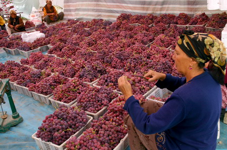 为什么新疆的葡萄大,为什么新疆葡萄很多种颜色