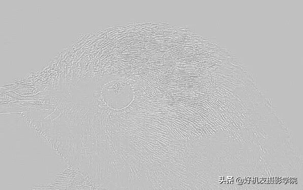 照片灰蒙蒙的怎么拍,照片灰蒙蒙的怎么变清新