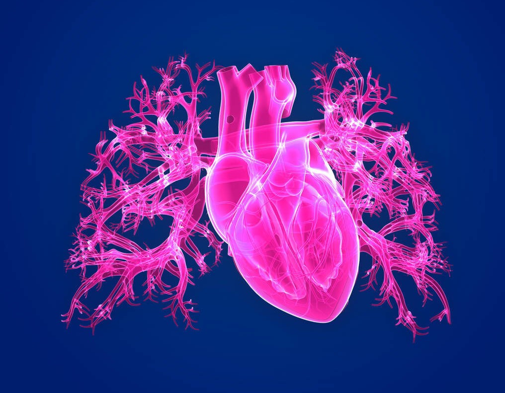 洛尔类药物适用于哪些高血压人群,洛尔降压药治疗心脏病