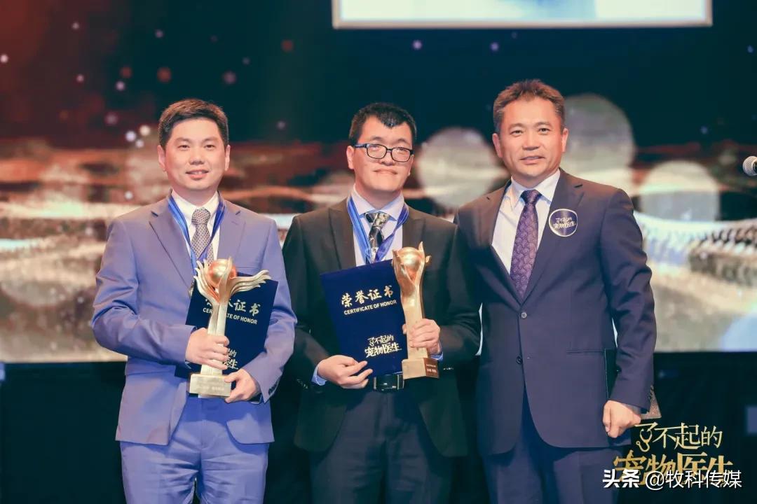 初心如磐笃行致远中国人寿,初心如磐笃行致远军训落幕篇