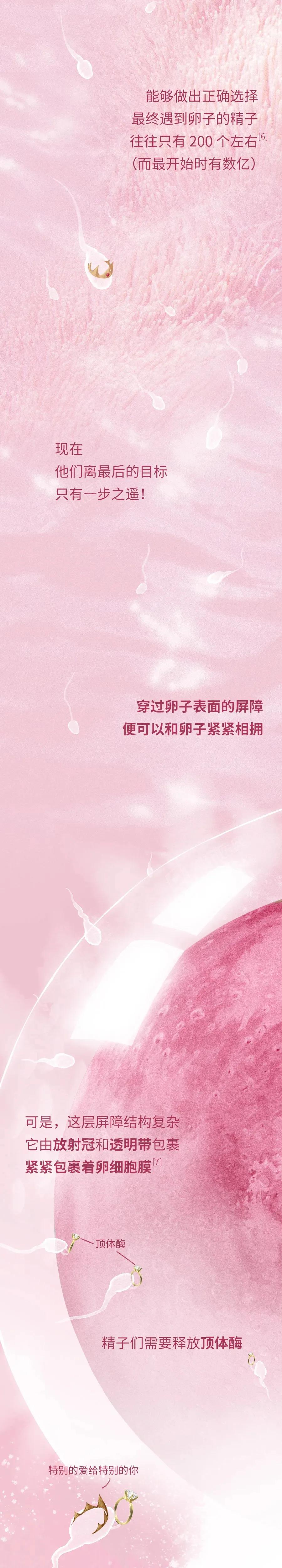 精子与卵子结合孕育生命全过程,精子和卵子孕育的全过程