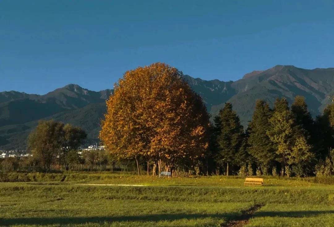 带你看大理的苍山洱海,大理洱海你去过感觉怎样