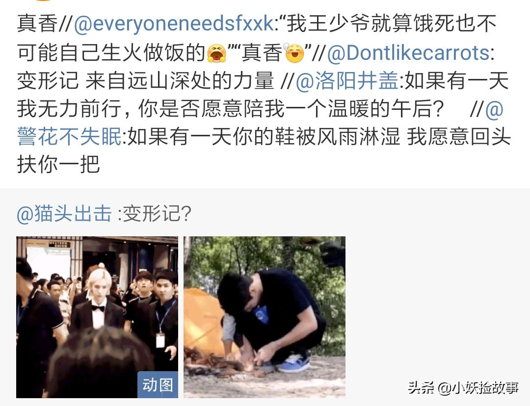 王一博丛林探险,王一博与天天兄弟团