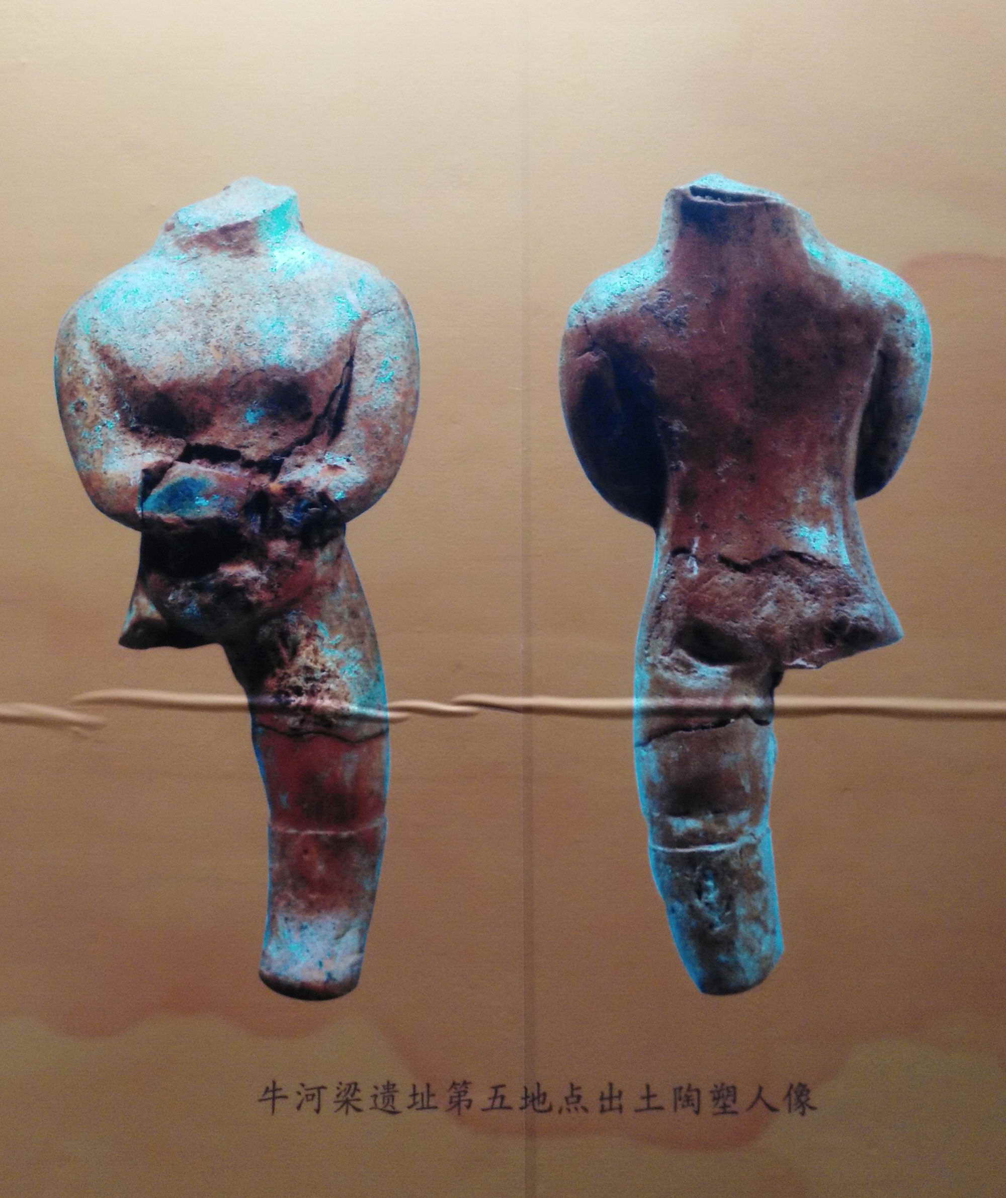 中国龙原型,中国龙的原型是什么