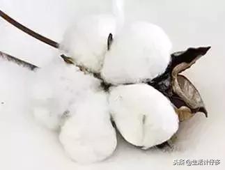 被子盖哪种对人有利于健康,被子盖得太厚出现的身体问题