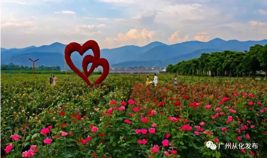 从化旅游景点排行榜前十名有哪些,广州从化旅游攻略必去十大景点