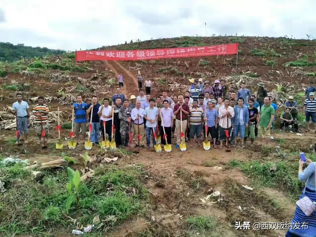 幸福打洛产业振兴路上瓜果飘香