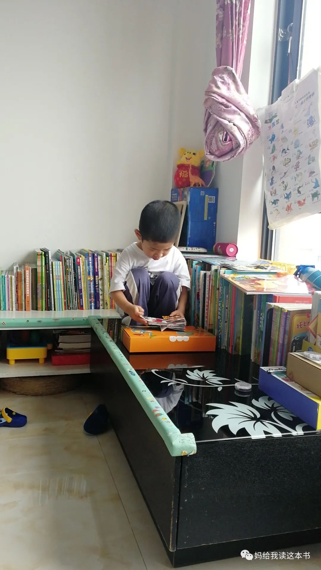 绘本书怎么分类,绘本包罗万象