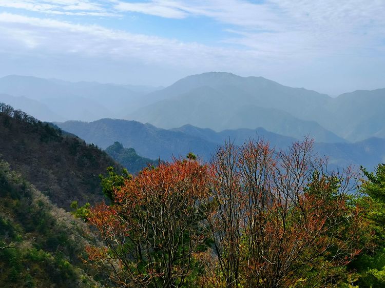 20201101惊悚之行~首阳山大坪梁单日横穿+原返