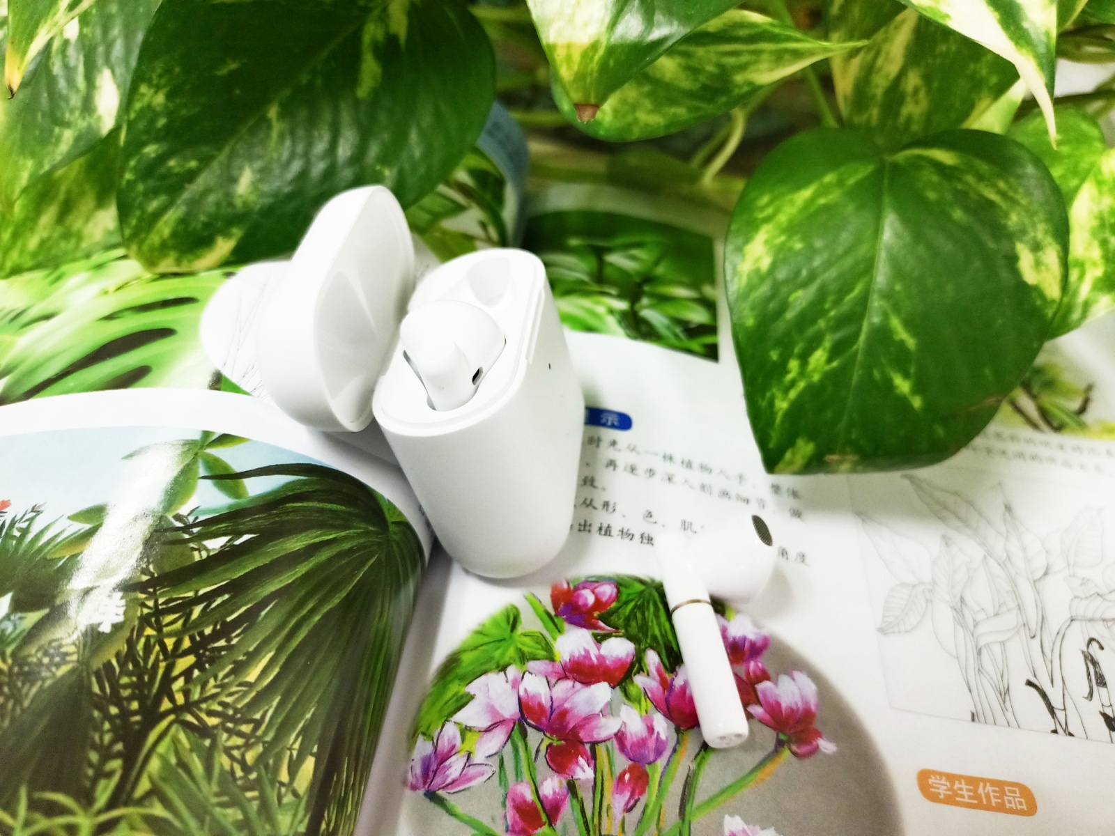 价格不到100块的TWS蓝牙耳机QCYT8会给我们带来惊喜还是惊吓？