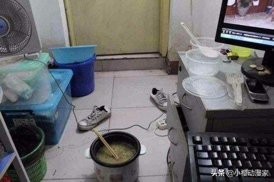 宅男煮米饭总有香味，电饭煲锅底十几只壁虎。网友：千寻诚不欺我